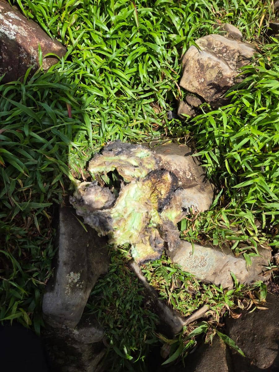 Temuan serpihan pesawat Indonesia Air Transport jenis ATR 42-500 di lereng Gunung Bulusaraung, Pangkep, Sulawesi Selatan, Minggu pagi (18/1/2026). (Dok. Basarnas Makassar)