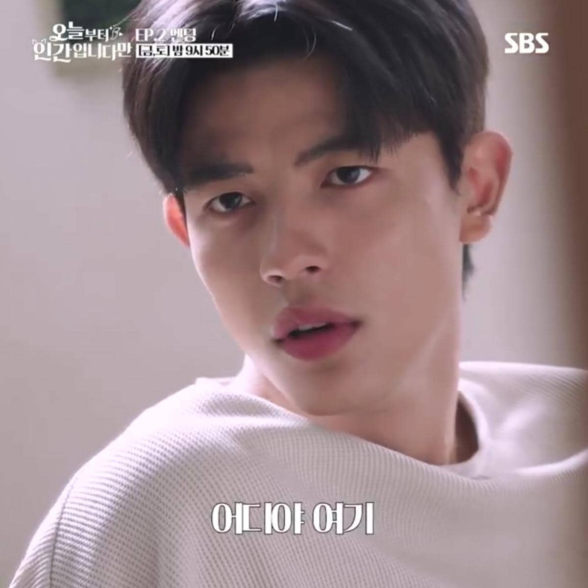 still cut drama Korea No Tail To Tell