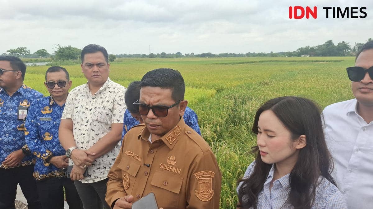 Lampaui Batas Maksimal OJK, Pemprov Banten Suntik Modal Jamkrida Rp163,4 Miliar