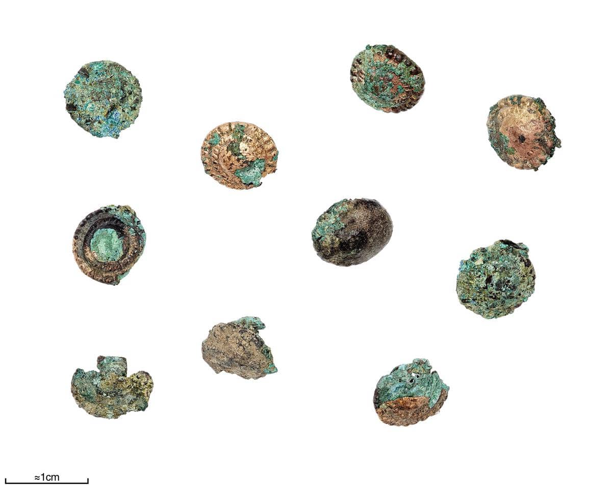 Evolusi material kancing