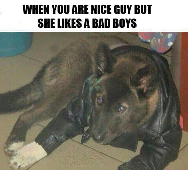 meme kocak bad boy