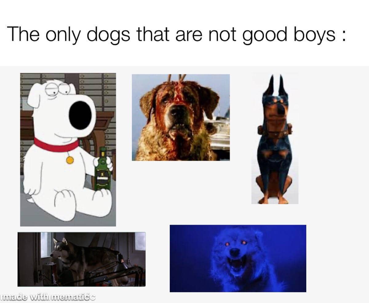 meme kocak bad boy