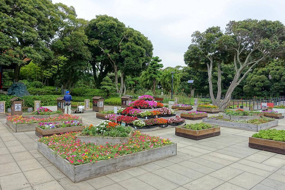 Samuel Cocking Garden