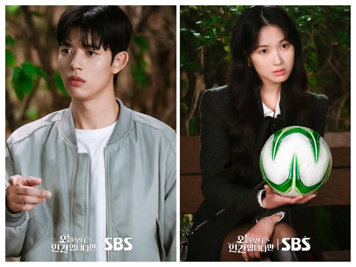 cuplikan drama No Tail To Tell