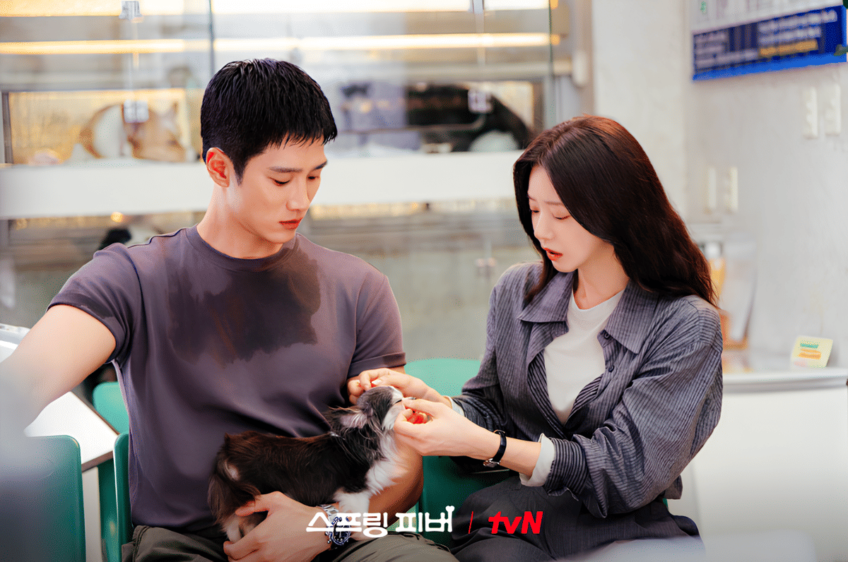 cuplikan drama Spring Fever 