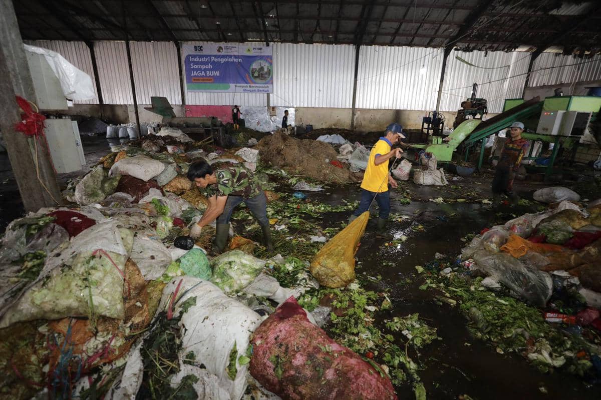 WhatsApp Image 2026-01-16 at 14.05.063.jpeg