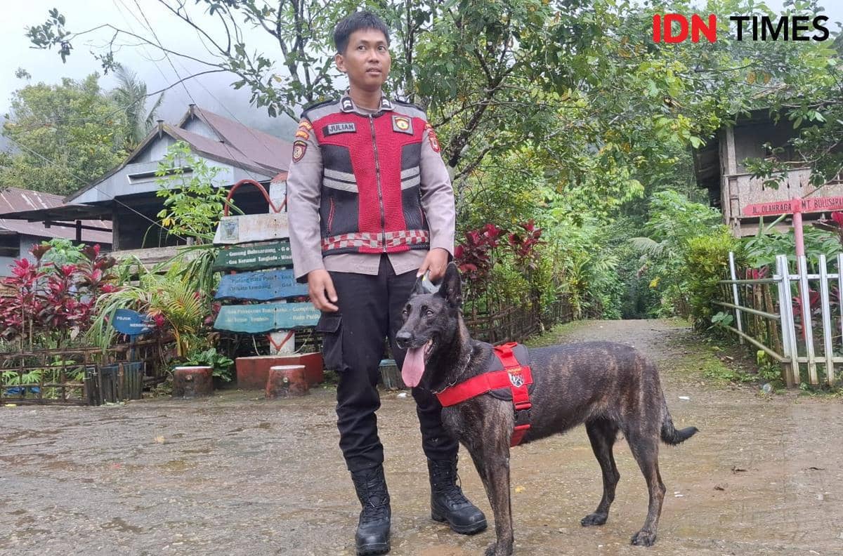 Anjing pelacak (K-9) dikerahkan bantu pencarian korban pesawat ATR 42-500 di Kabupaten Pangkep, Senin (20/1/2026. IDN Times/Darsil Yahya