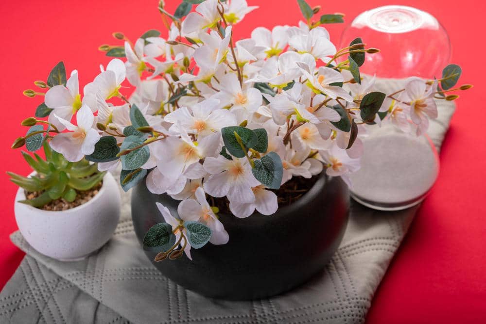 Ilustrasi Imlek 2026