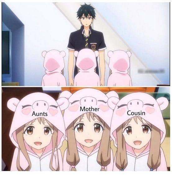meme anime tentang tante
