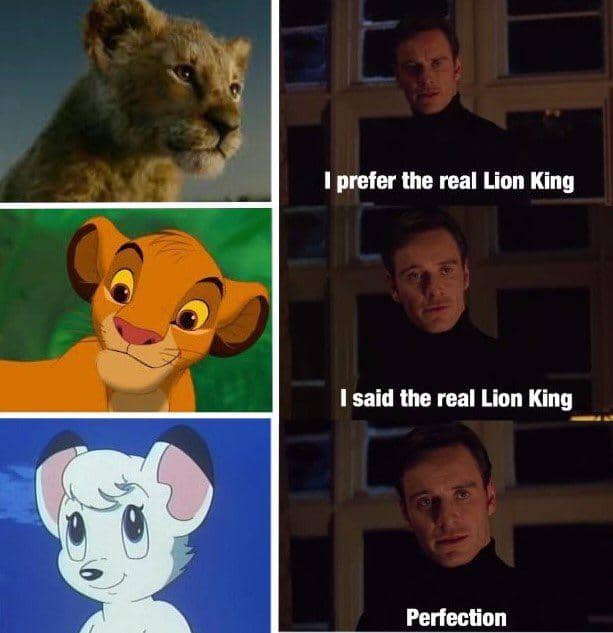 meme anime tentang singa