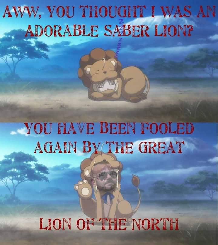 meme anime tentang singa