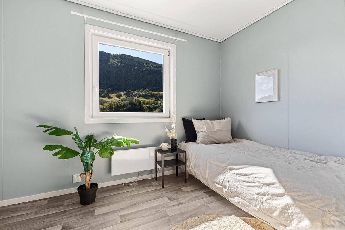 ilustrasi tanaman hias (pixabay.com)