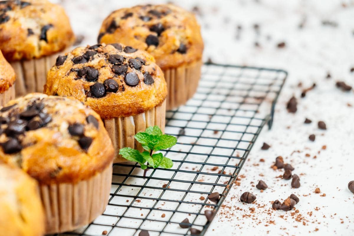Resep Yogurt Chocolate Chip Muffins yang Moist dan Anti Gagal!