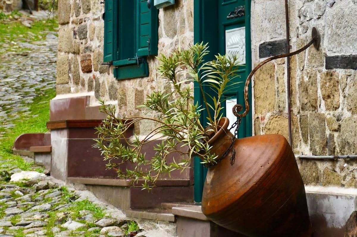 ilustrasi cara memilih batu alam eksterior agar tidak mudah ditumbuhi lumut