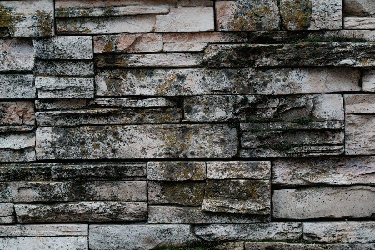 ilustrasi cara memilih batu alam eksterior agar tidak mudah ditumbuhi lumut