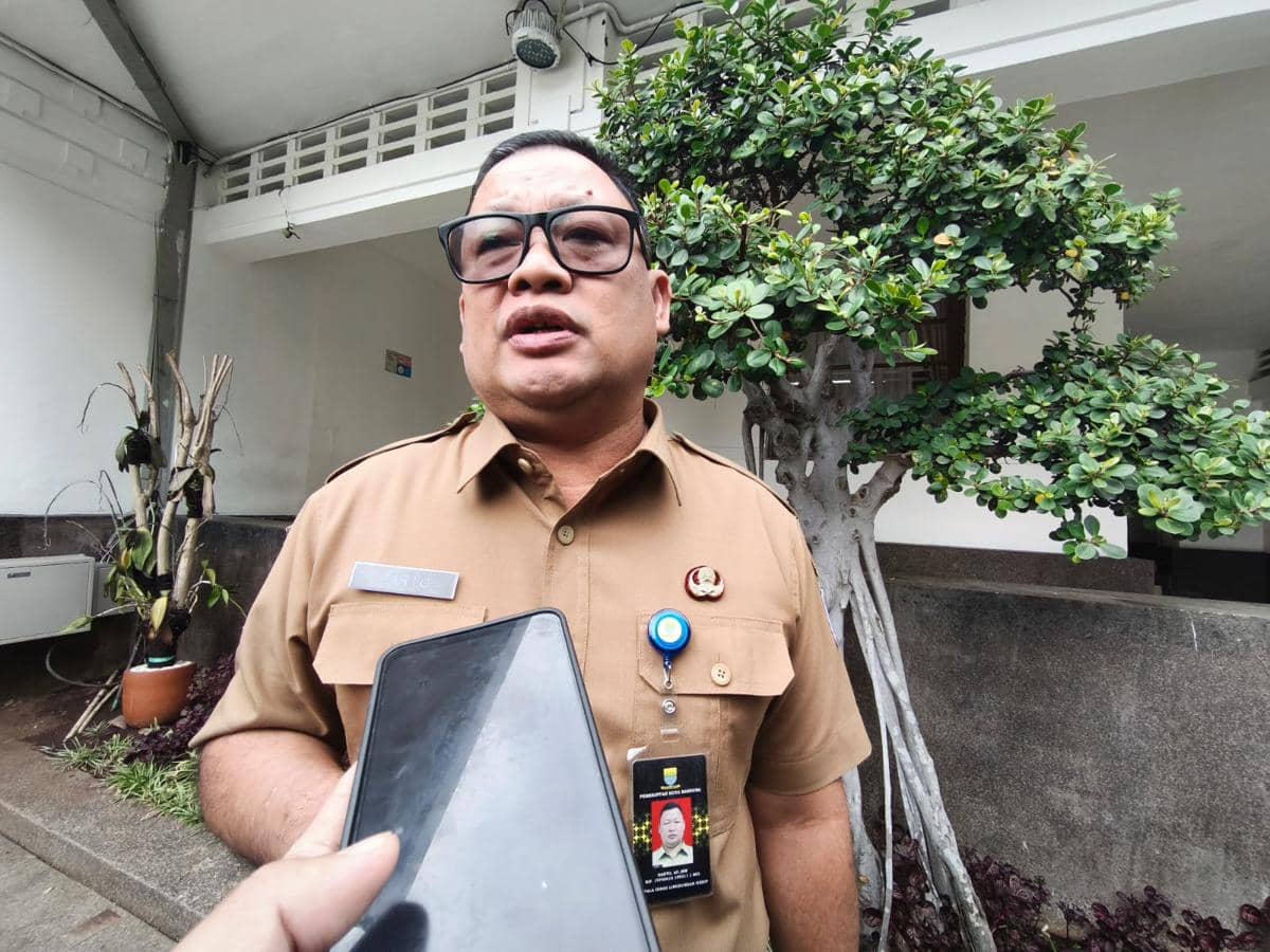 WhatsApp Image 2026-01-20 at 12.15.32.jpeg