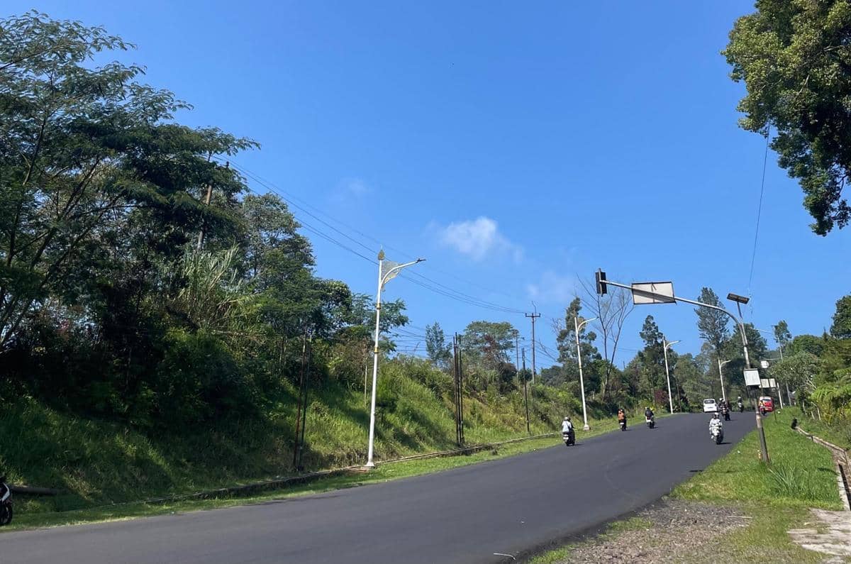 WhatsApp Image 2026-01-20 at 11.53.53.jpeg