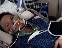 Suami Stella Christie, Profesor Bartek Czech