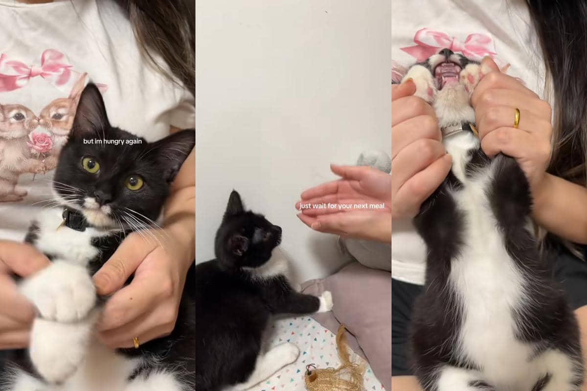 Tren Hiwong Hiwong Tong Hiwong