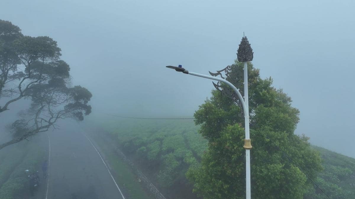 WhatsApp Image 2026-01-20 at 11.53.543.jpeg