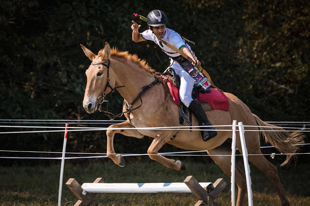 Azral Mardin, Alumni Itera berhasil meraih medali perak pada ajang International Horseback Archery Alliance (IHAA) World Championship 2025 di Tennessee Valley Archery, Amerika Serikat