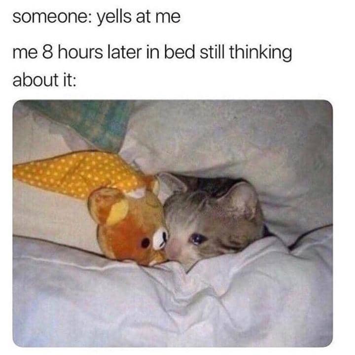 meme kucing tentang bantal