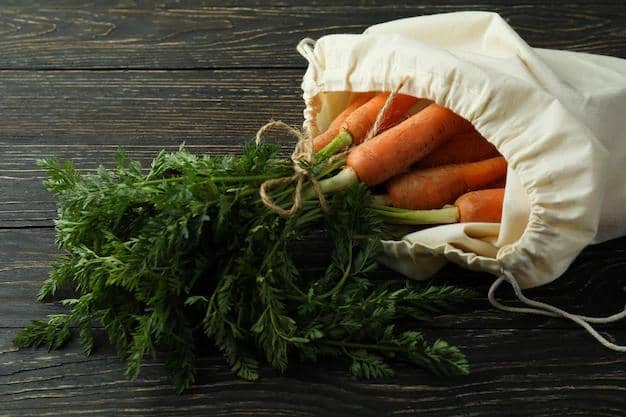 ilustrasi kantong penyimpanan sayur