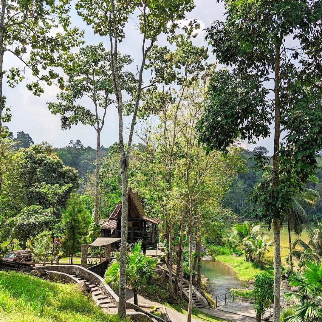 Amandadi Riverside Pesawaran