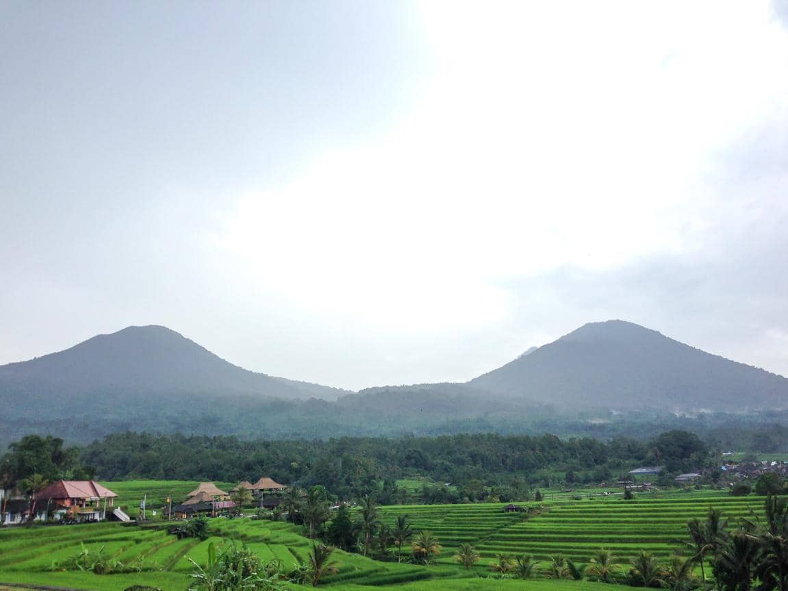 salah satu sisi sawah terasering Jatiluwih 