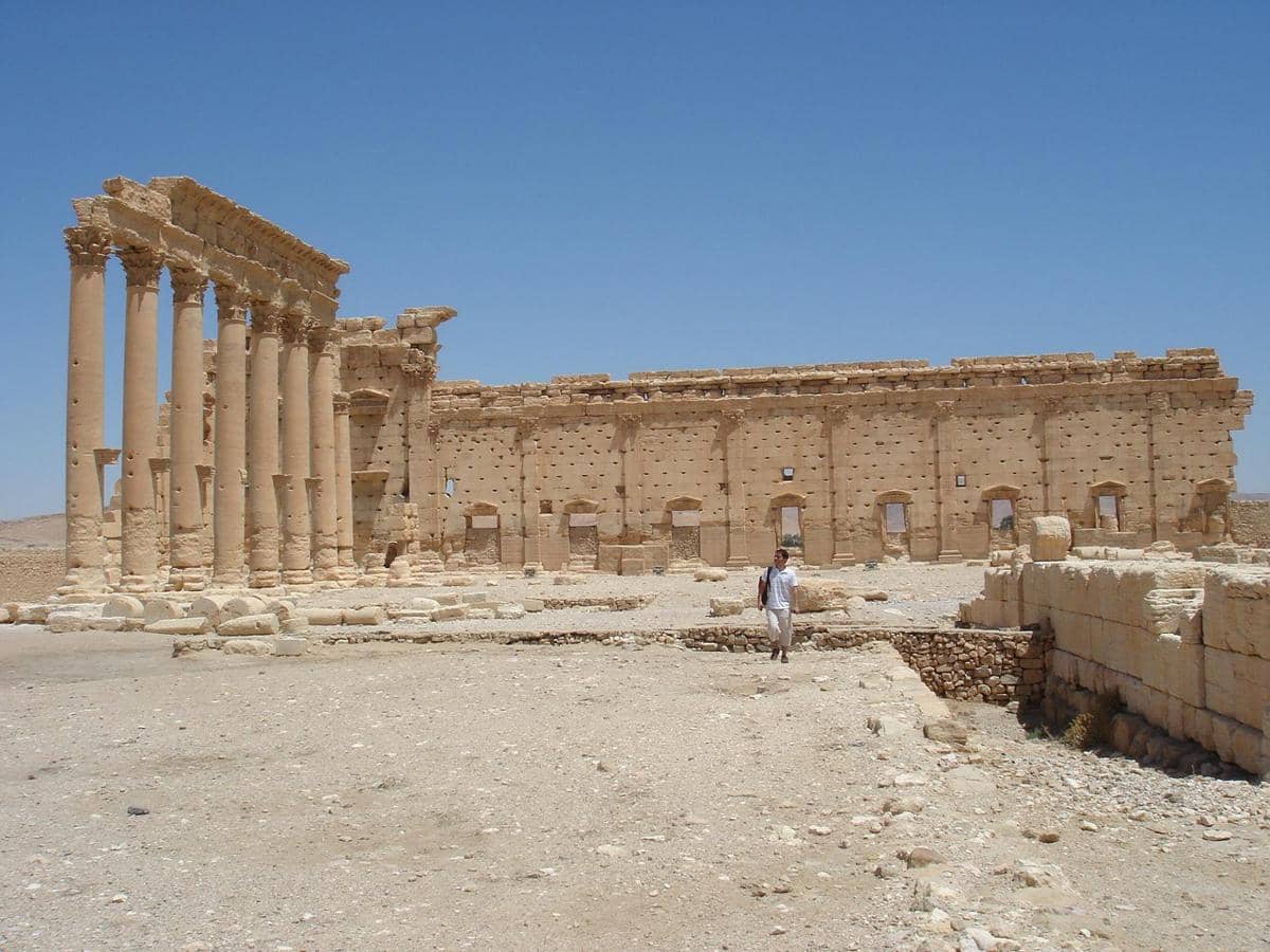 Palmyra