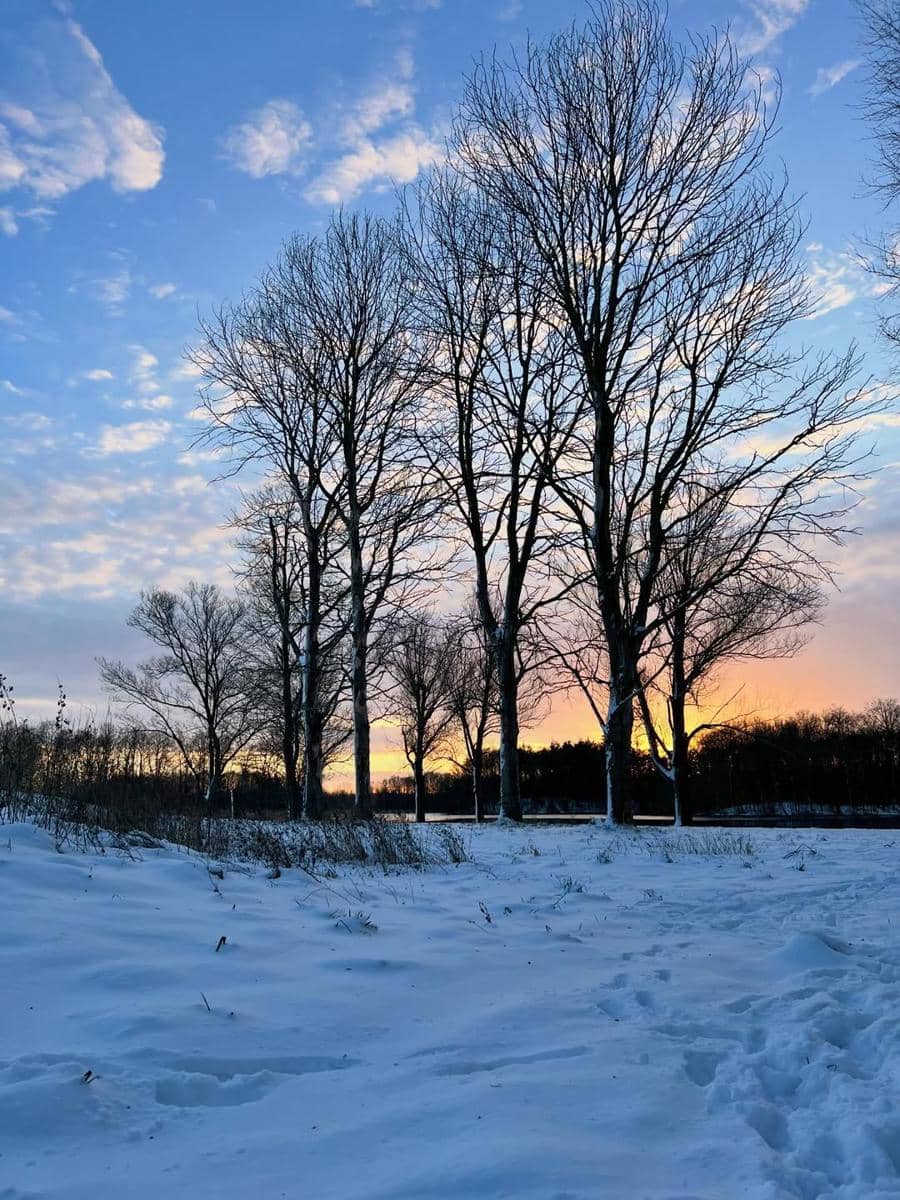 Keluarga Maudy Koesnaedi liburan di Belanda