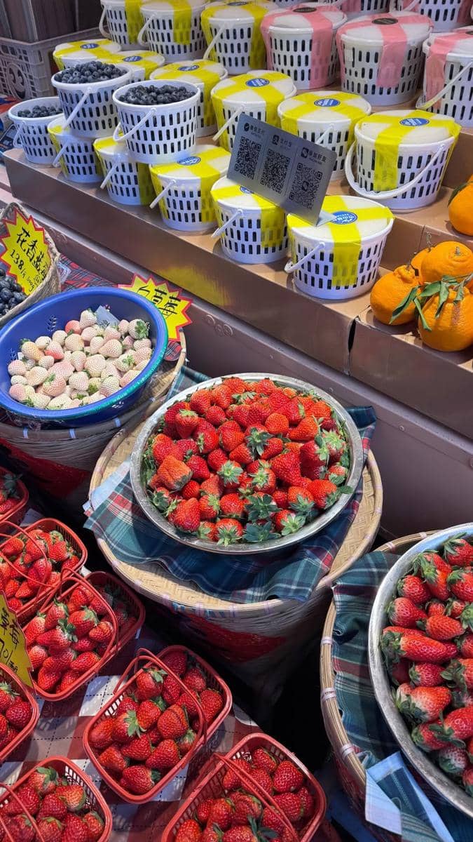 Clarissa Putri dan keluarga liburan di Shanghai