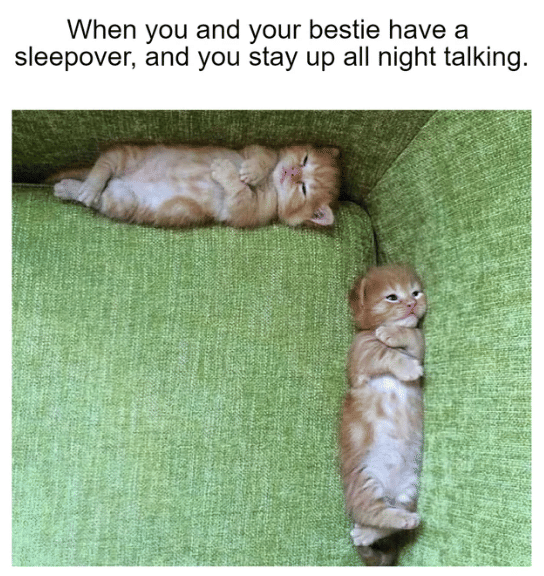 meme momen tidur paling nikmat