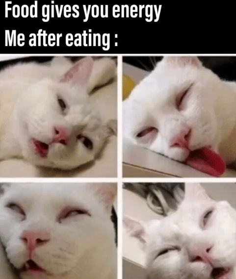 meme momen tidur paling nikmat