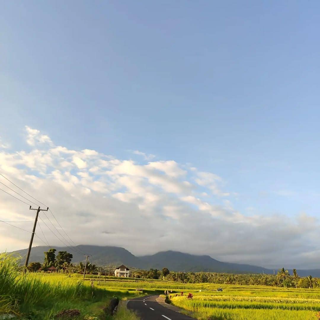pemandangan di Subak Piak 