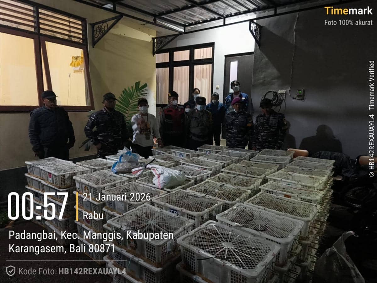 Aparat menggagalkan penyelundupan burung berkicau di Pelabuhan Padangbai, Bali.