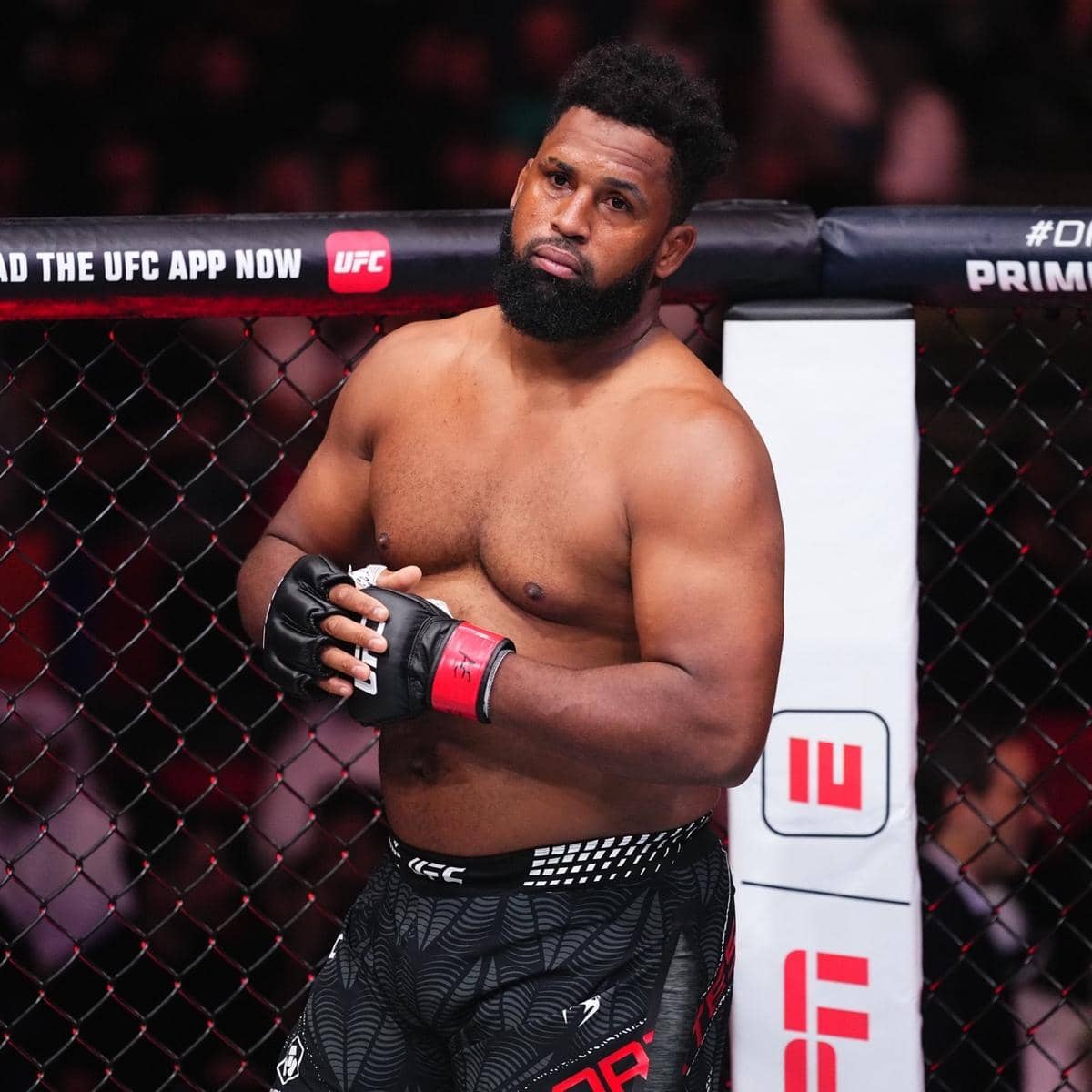 Petarung Kelas Berat UFC, Walder Cortes-Acosta