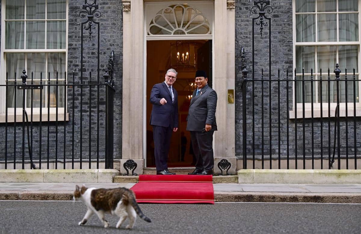 Kala Presiden Prabowo Disambut Larry the Cat Saat ke Downing Street London (dok. Sekretariat Presiden)