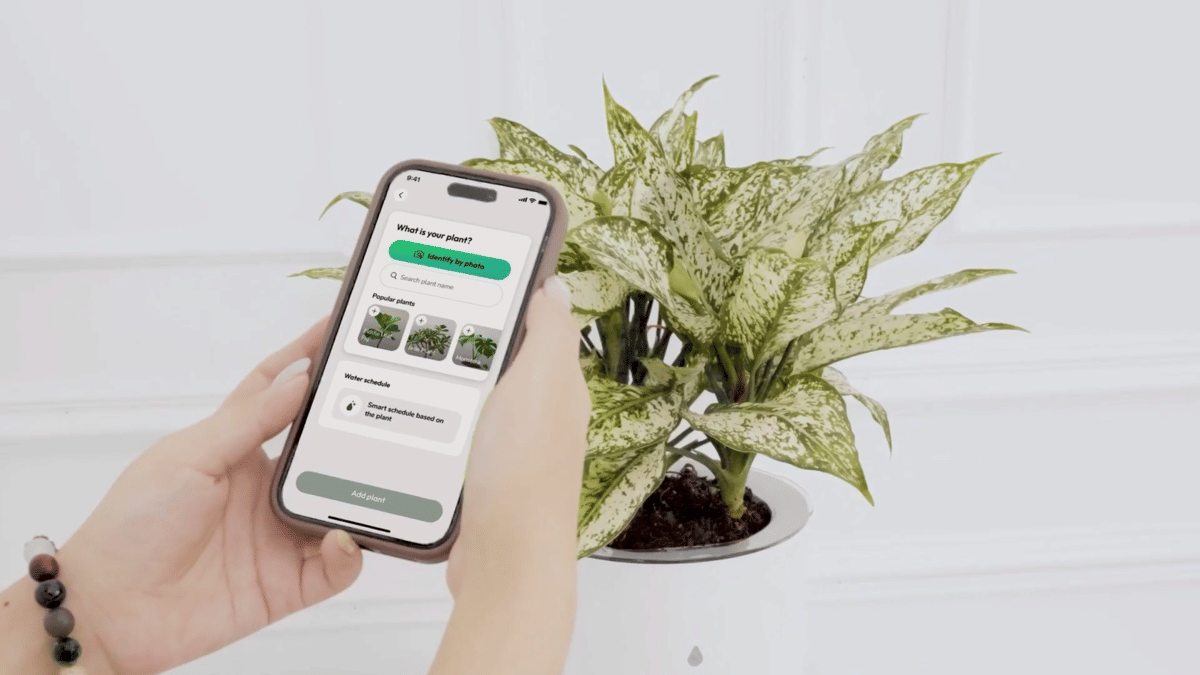 ilustrasi memantau data kesehatan tanaman dengan platform LeafyPod