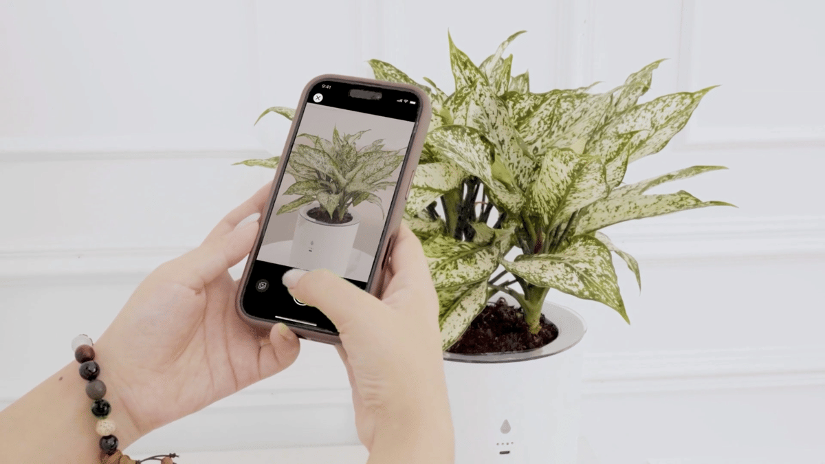 ilustrasi menganalisis kebutuhan tanaman menggunakan LeafyPod