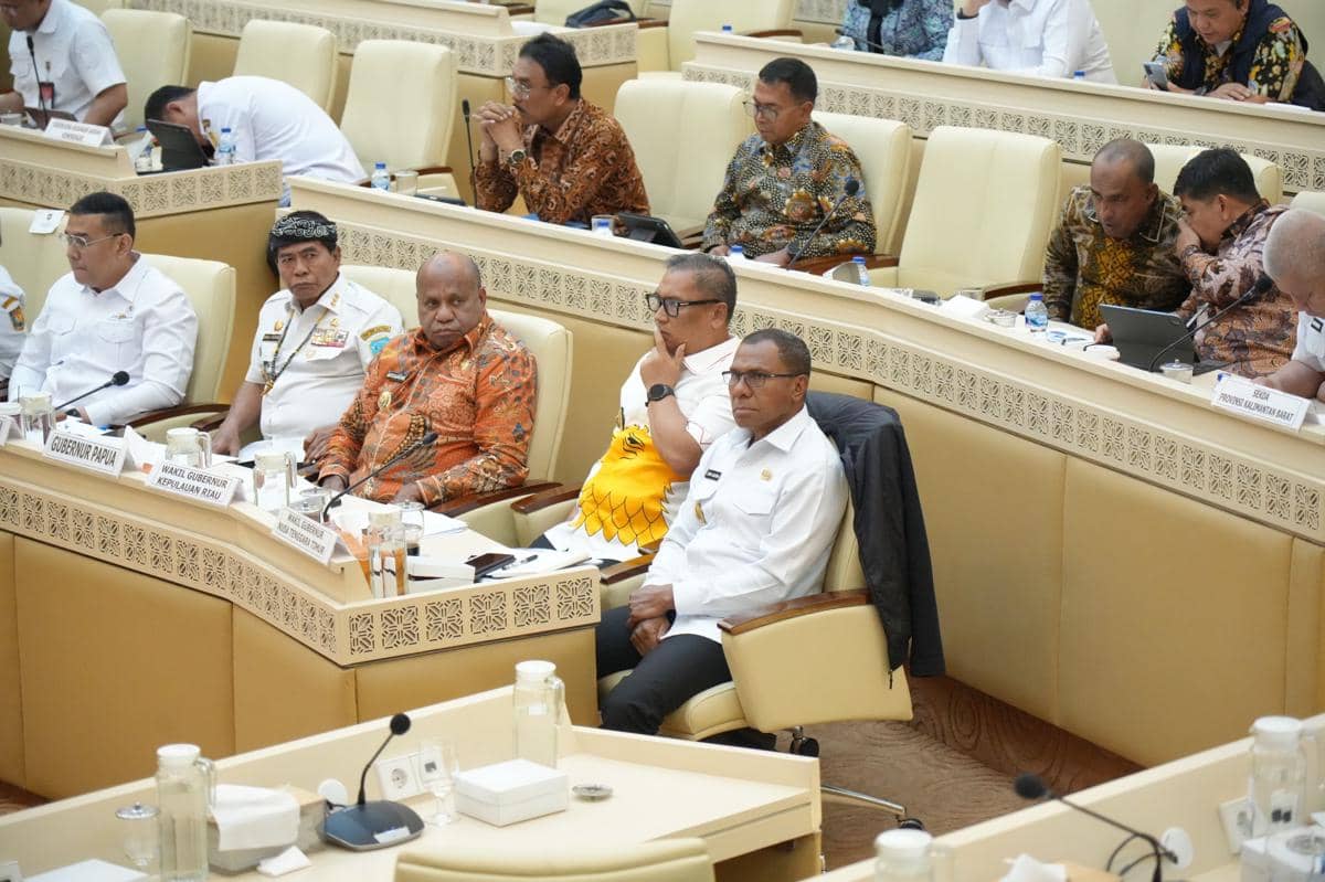 Wagub NTT Johni Asadoma minta penyelesaian batas RI - Timor Leste di Komisi II DPR RI. (Dok Humas Setda Provinsi NTT)