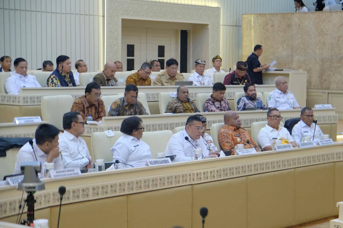 Wagub NTT Johni Asadoma minta penyelesaian batas RI - Timor Leste di Komisi II DPR RI. (Dok Humas Setda Provinsi NTT)