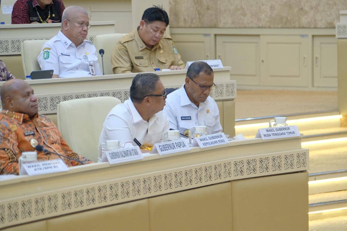 Wagub NTT Johni Asadoma minta penyelesaian batas RI - Timor Leste di Komisi II DPR RI. (Dok Humas Setda Provinsi NTT)