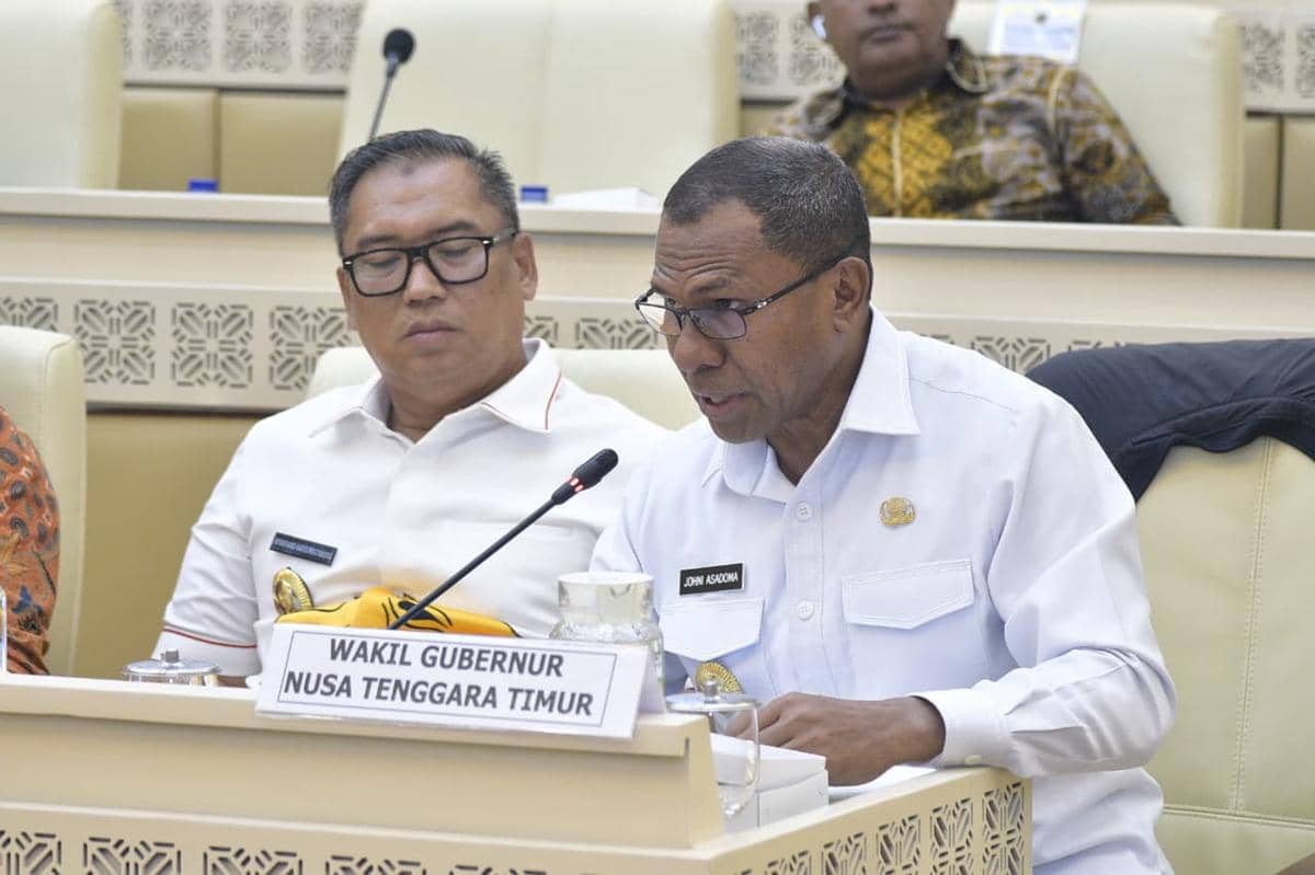 Wagub NTT Desak Pemerintah Percepat Penyelesaian Batas RI–Timor Leste