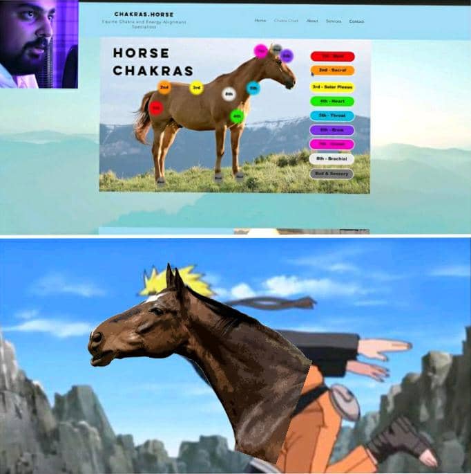 meme anime tentang kuda