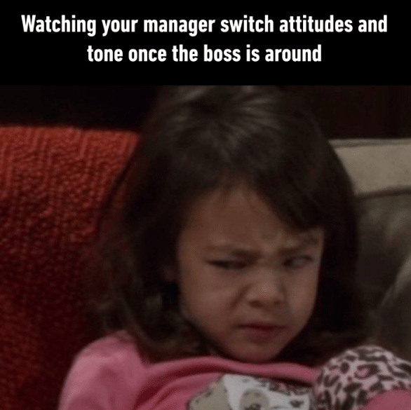 meme manajer bikin sebal