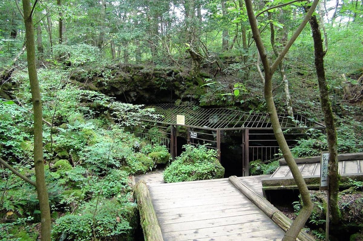 Pintu masuk Gua Kelelawar Saiko