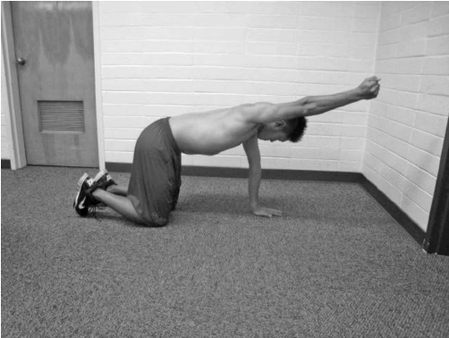 Gerakan quadruped shoulder flexion.