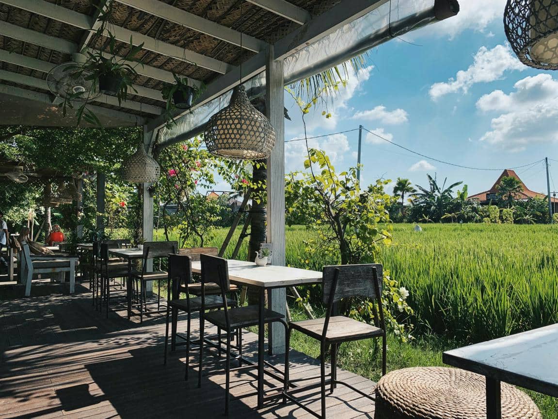 ilustrasi kafe view sawah 