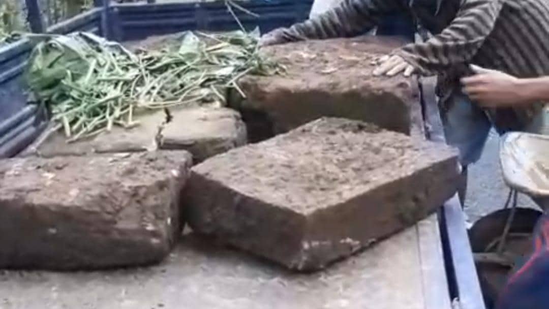 Capture batuan dari situs Mejo Miring yang diambil. IDN Times/istimewa